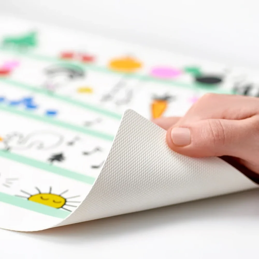 Colorful Cartoon Placemats Set of 2